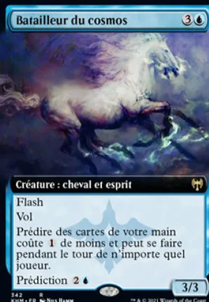 Batailleur du cosmos