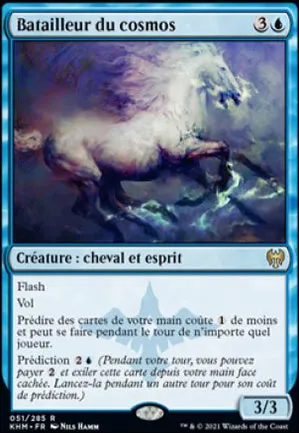 Batailleur du cosmos