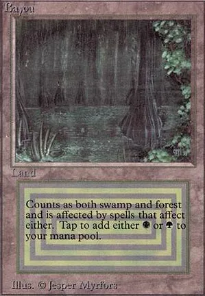 Bayou