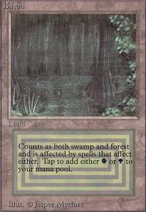 Bayou