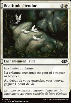Béatitude étendue