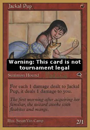 Bébé chacal