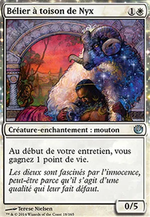 Bélier à toison de Nyx