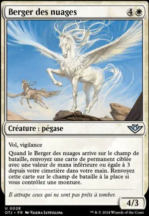 Berger des nuages