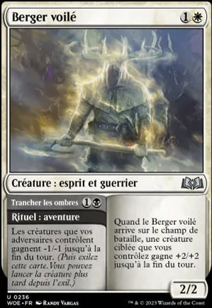 Berger voilé // Trancher les ombres