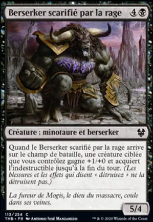 Berserker scarifié par la rage