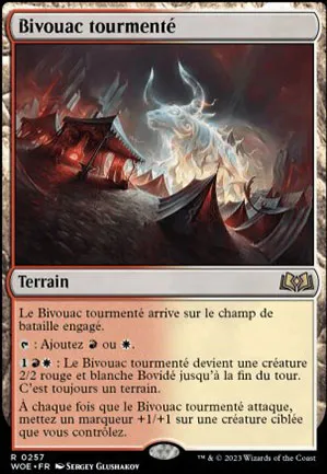 Bivouac tourmenté
