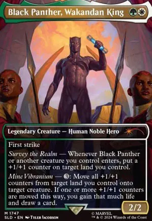 Black Panther, Wakandan King