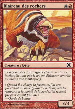 Blaireau des rochers