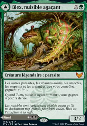 Blex, nuisible agaçant // Recherche de Blex