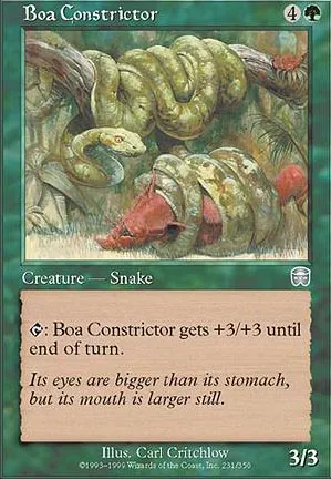 Boa constrictor