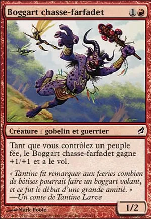 Boggart chasse-farfadet