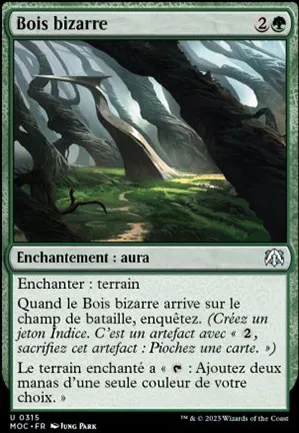Bois bizarre
