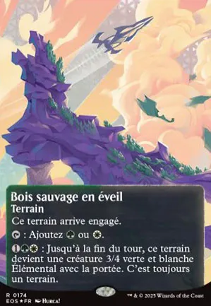 Bois sauvage en éveil
