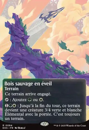 Bois sauvage en éveil