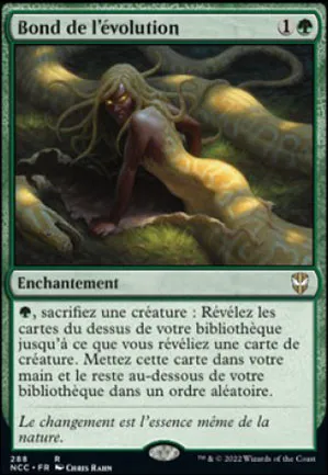 Bond de l'évolution