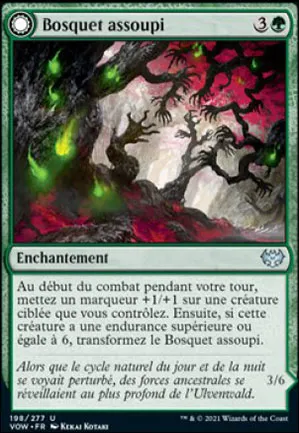 Bosquet assoupi // Enjambeur de bosquet noueux