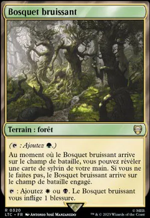 Bosquet bruissant