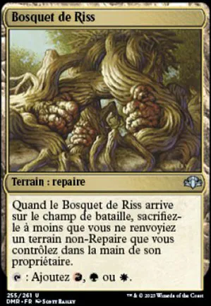 Bosquet de Riss