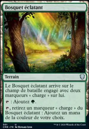 Bosquet éclatant