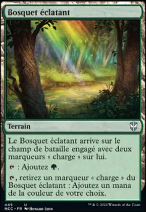 Bosquet éclatant