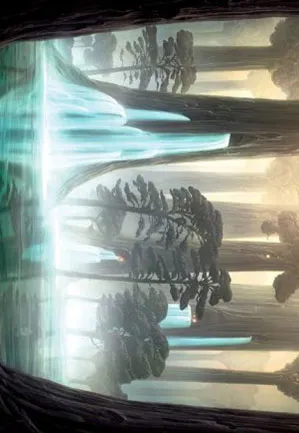 Bosquet gorgé d'eau – Illustration
