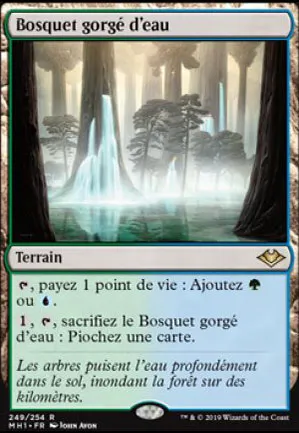 Bosquet gorgé d'eau