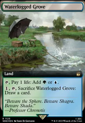 Bosquet gorgé d'eau