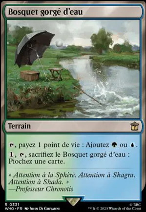 Bosquet gorgé d'eau