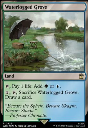 Bosquet gorgé d'eau