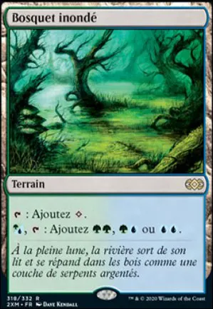 Bosquet inondé
