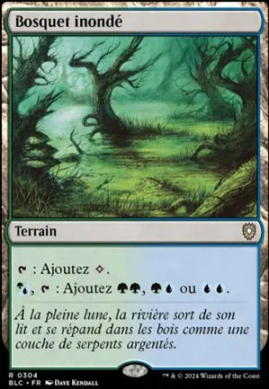 Bosquet inondé