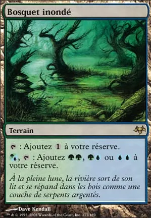 Bosquet inondé