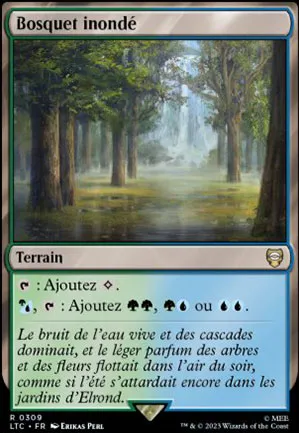 Bosquet inondé