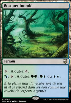 Bosquet inondé