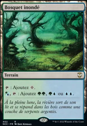 Bosquet inondé