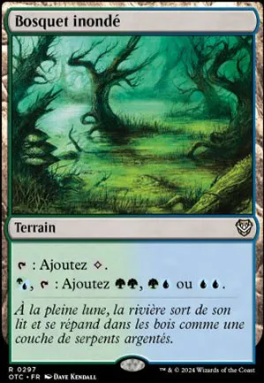 Bosquet inondé