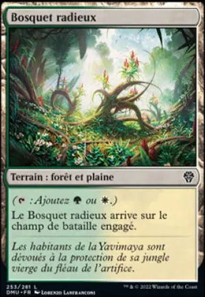 Bosquet radieux