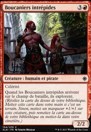 Boucaniers intrépides