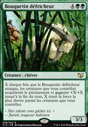 Bouquetin défricheur