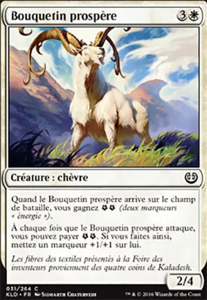 Bouquetin prospère