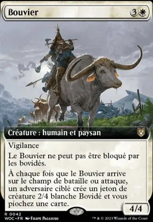 Bouvier