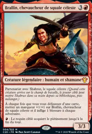 Brallin, chevaucheur de squale céleste