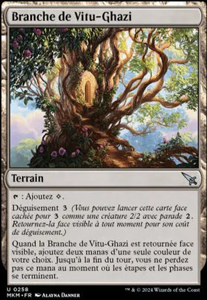 Branche de Vitu-Ghazi