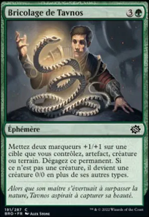 Bricolage de Tavnos