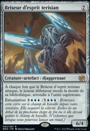 Briseur d'esprit terisian