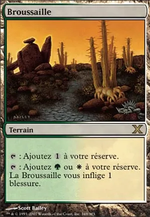 Broussaille
