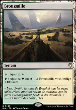 Broussaille