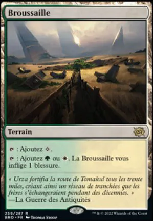 Broussaille