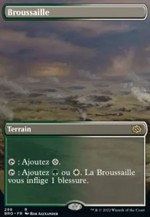 Broussaille